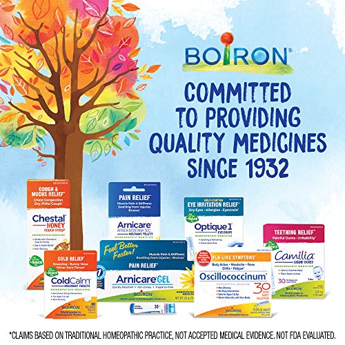 Boiron Arnicare Gel for Soothing Relief of Joint Pain, Muscle Pain, Muscle Soreness, and Swelling from Bruises or Injury - Non - greasy and Fragrance - Free - 2.6 oz - THE BEAUTY ANATOMY