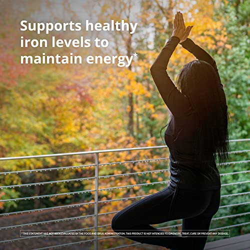 Floradix, Iron & Herbs Vegetarian Liquid Supplement, Energy Support for Women and Men, Easily Absorbed, Non - GMO, Vegetarian, Kosher, Lactose - Free, Unflavored, 8.5 Fl Oz - THE BEAUTY ANATOMY